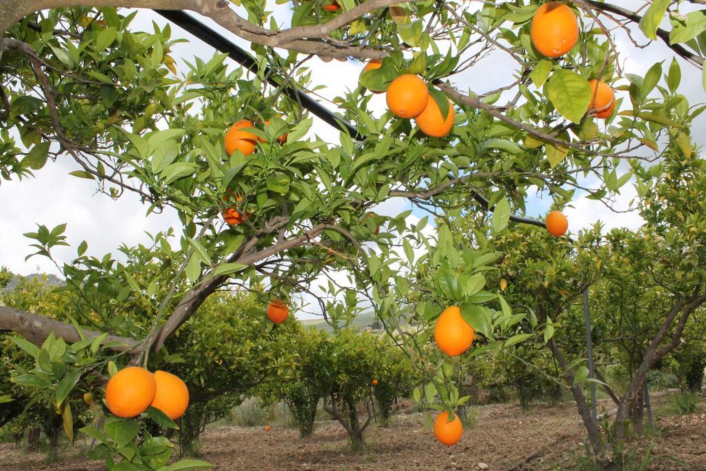 Tenuta Lanza Il Mulino Acquaviva Platani Экстерьер фото